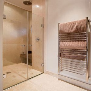 Frameless In Line Door and Panel