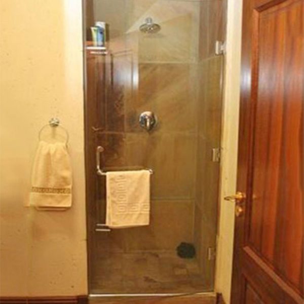 Frameless Hinged Door With Bow & Towel Rail Handle