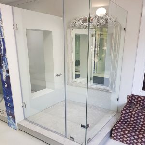 Typical Frameless enclosure with wall mounted door