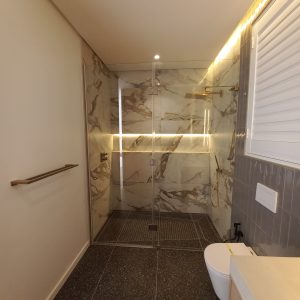 Frameless In Line Shower Enclosure
