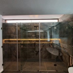 Frameless Shower and Toilet Enclosure